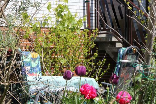 Apartamento Ferienwohnungen Hartmann