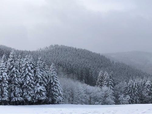 Ferienhaus K�stelblick