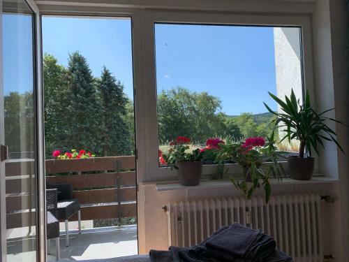 Apartamento Willem Appartments Sauerland