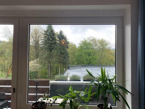 Group Stay - Jacuzzi - Wood Fired Sauna Luxe Apartment Winterberg With Love