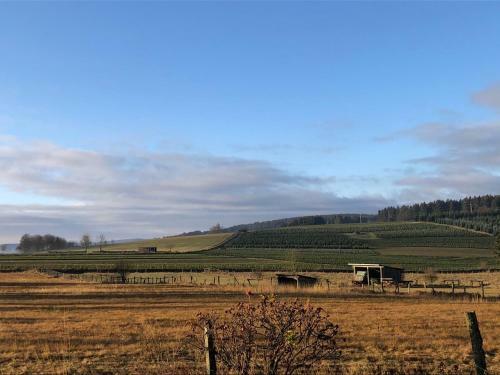 Ferienhaus K�stelnest