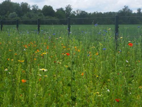 Apartamento Gemuetliches-apartment-in-der-natur