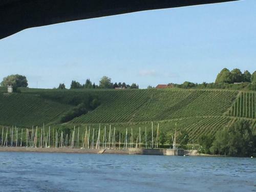 Apartamento Feriendomizil Weinberg