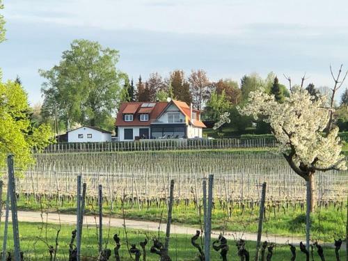 Apartamento Feriendomizil Weinberg