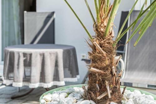Apartment Mit Kaffeek�che F�r Zwei