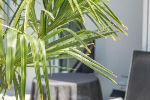 Apartment Mit Kaffeek�che F�r Zwei