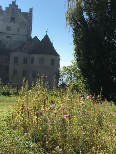 Apartamento Ferienwohnungen Greitmann