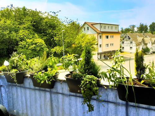 Apartamento Seeperle 3