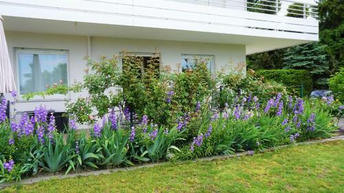 Apartamento Silvaner-laube Silvanerlaube B