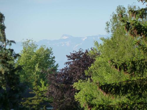 Apartamento Silvaner-laube Silvanerlaube B