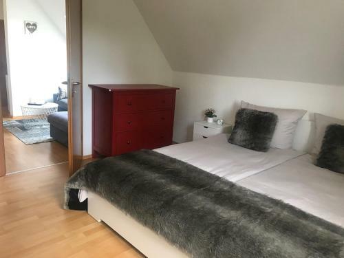 Rheinau Apartment