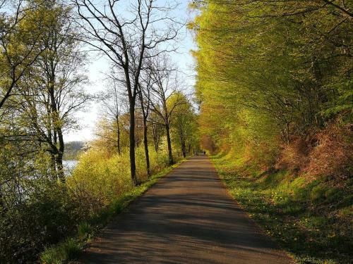 Apartamento Ferienwohnung Am Hennesee