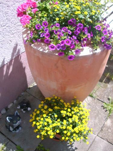 Apartamento Fewo Alte Post