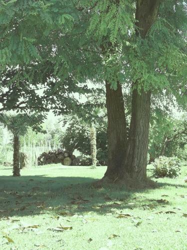 Bed & Breakfast Antico Borgo Leone