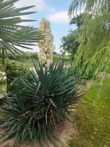 Bed & Breakfast Antico Borgo Leone