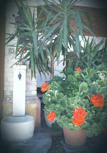 Bed & Breakfast Antico Borgo Leone