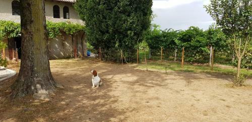 Bed & Breakfast Alle Zagare