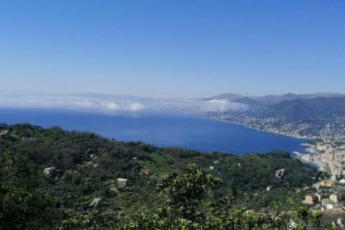 Apartamento Stella Marina House -citra 010047lt-0127