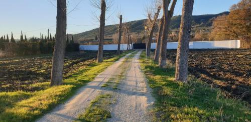 Villa Aljara