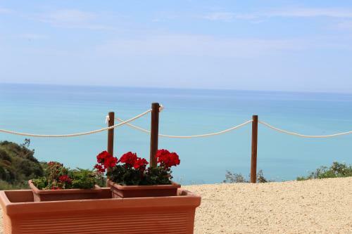 B&B La Torre