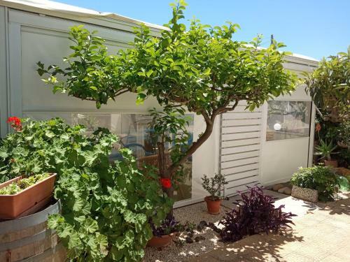 Hostal Villa Scavuzzo