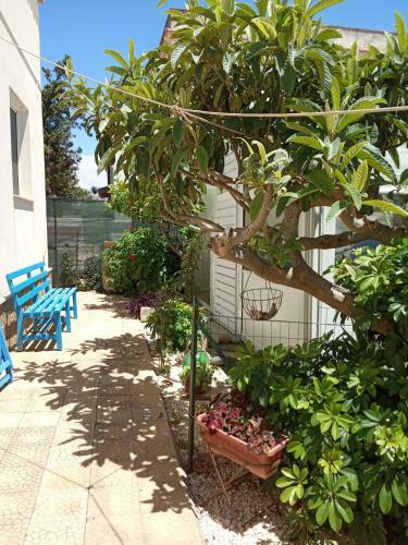 Hostal Villa Scavuzzo