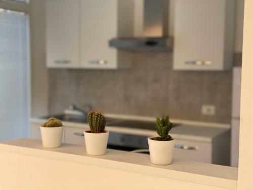 Apartamento Loft Galla Placidia