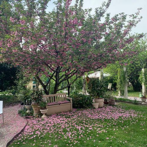 Apartamento Secret Garden And Cozy Flat