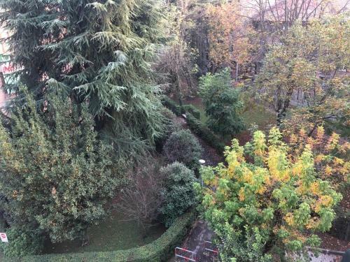 Apartamento Civico 1