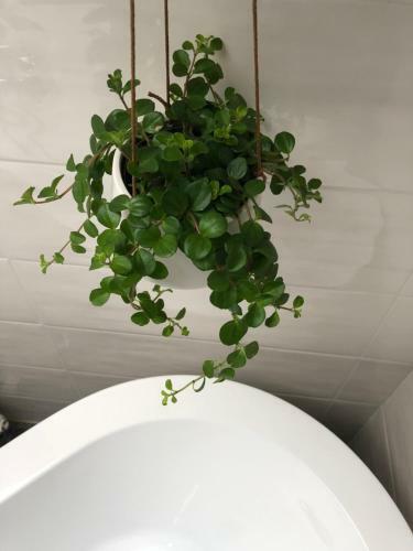 Apartamento Gattaglio 22 Guest House