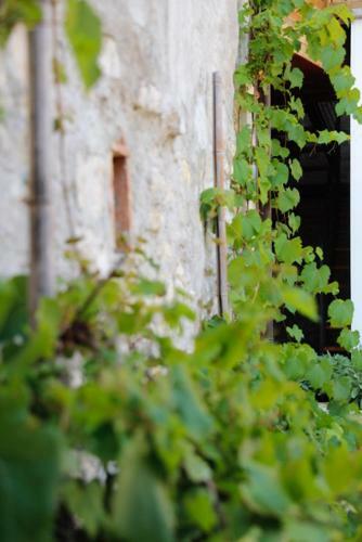 Hostal Romantic Boutique Hospitality