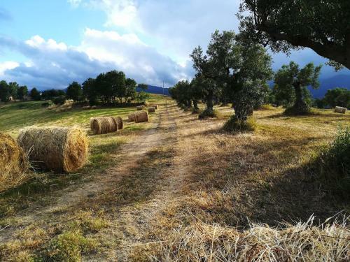 La Dimora Di Radha B&B Centro Olistico