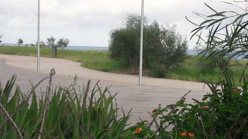Attico Riace