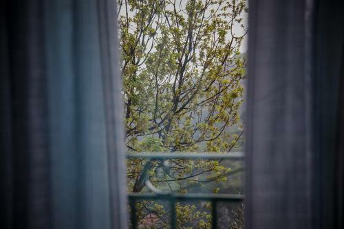 Bed & Breakfast La Gemma Di Ravello