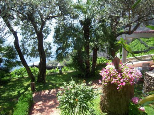 Apartamento Suite I Limoni