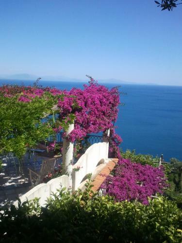 Apartamento Suite I Limoni