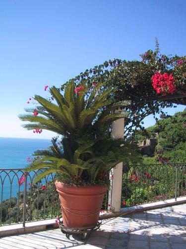 Apartamento Suite I Limoni