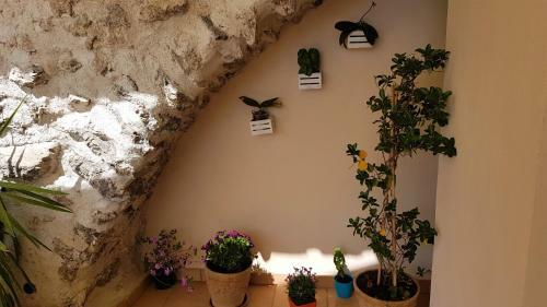 Hostal Le Perle D'italia