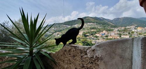 Hostal Le Perle D'italia