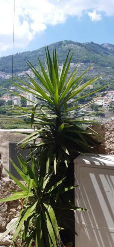 Hostal Le Perle D'italia