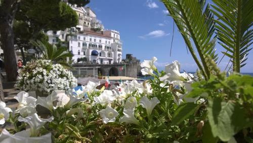 Colpo D'ali -panoramic Terrace &jacuzzi In Ravello