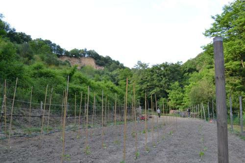 Agroturismo Il Giaggiolo