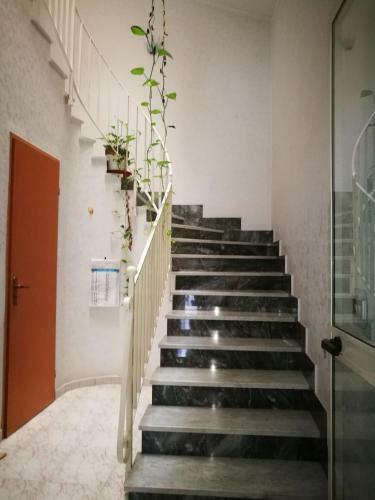 Apartamento Fiori D'arancio