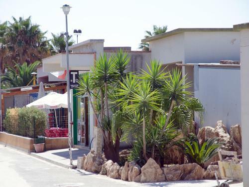 Kamemi Village & Camping