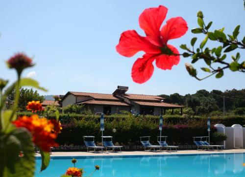 Agroturismo Agriturismo Ninea