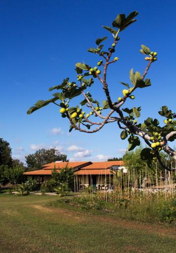 Agroturismo Agriturismo Ninea