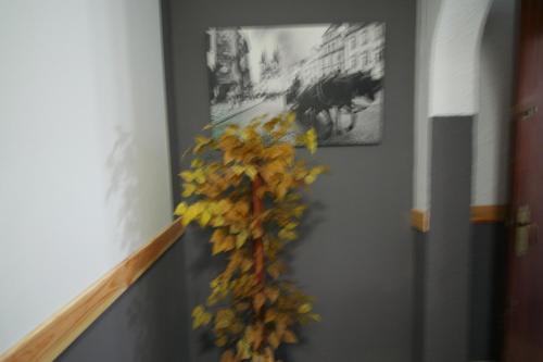 Hostal Restaurante Avenida De Madrid