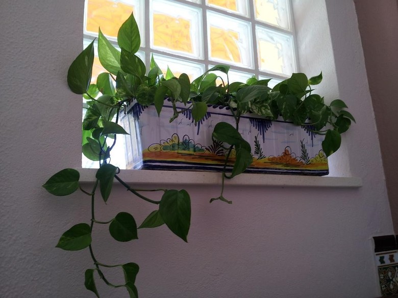 Hostal Tarik