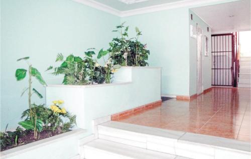 Apartment Torrevieja 39