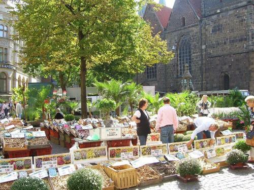 Hostal Buthmann Im Zentrum